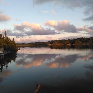 Meet your Posher, Avery